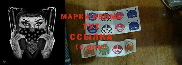 дурь Краснослободск