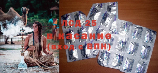 дурь Краснослободск