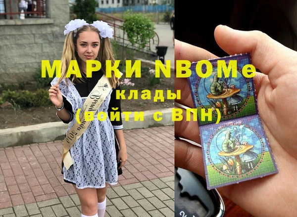 дурь Краснослободск