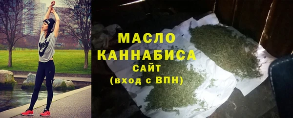 дурь Краснослободск