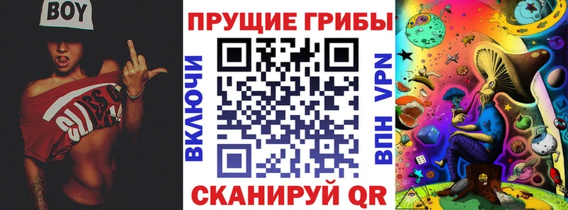 Галлюциногенные грибы прущие грибы  Купить  Лодейное Поле 